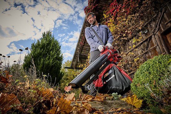 Советы, как идеально подготовить сад и садовые инструменты к зиме